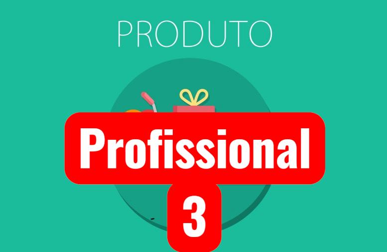Profissional 3